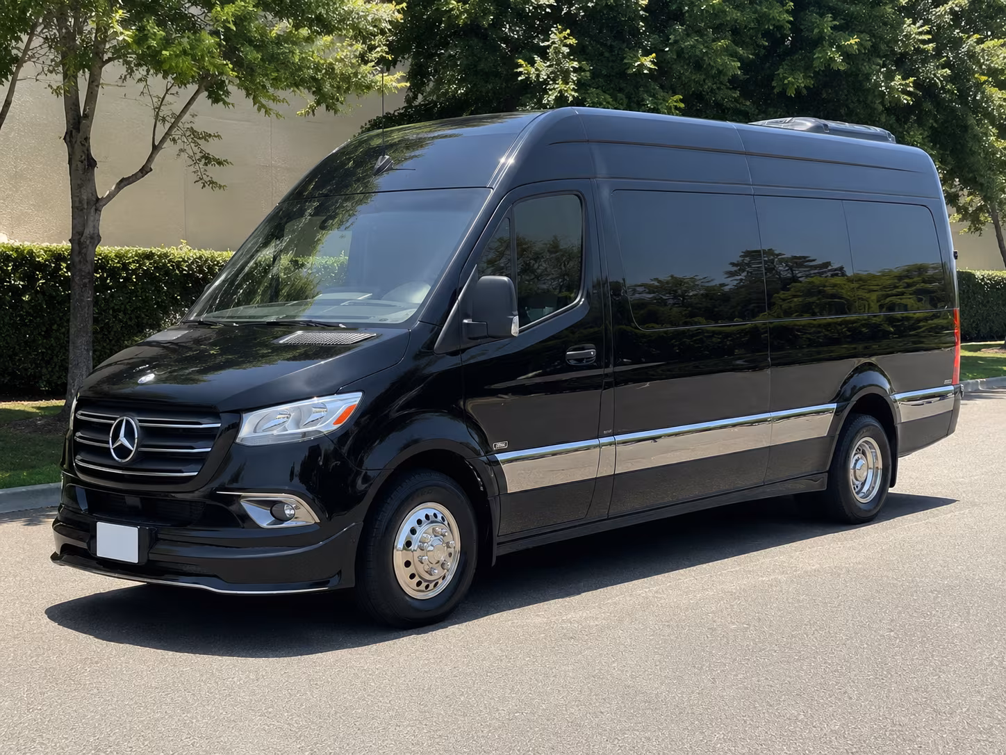 maricopa sprinter van with driver